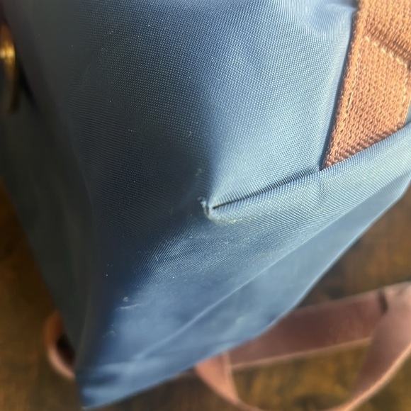 Lonchamp Mini Backpack - Picture 12 of 12